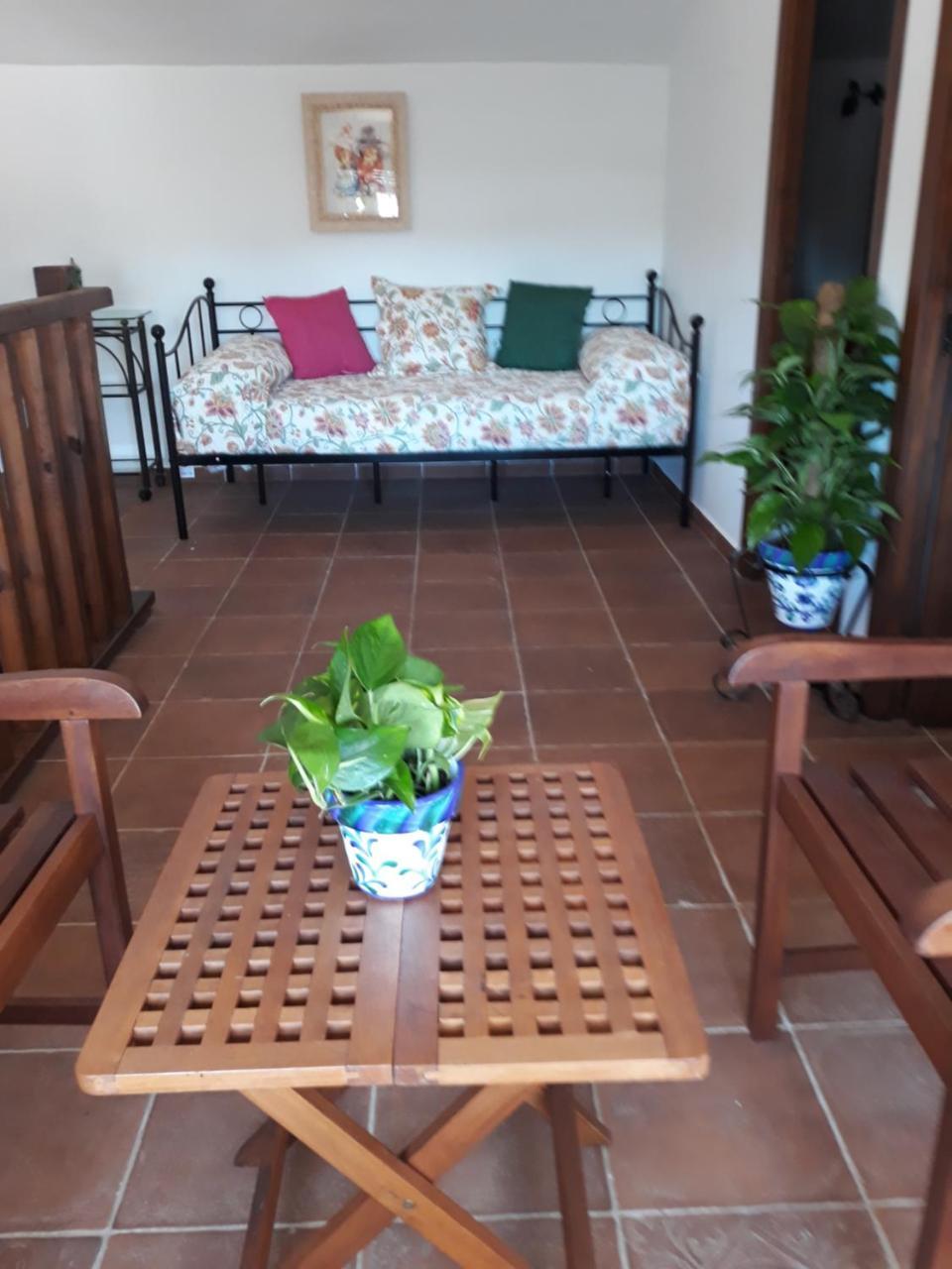 Albara Guest House Conil De La Frontera Exterior photo
